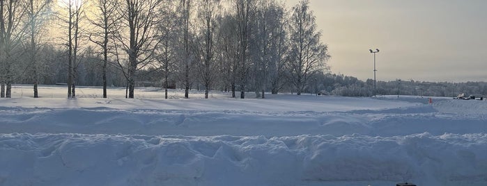 Rovaniemi is one of Lapfeb.