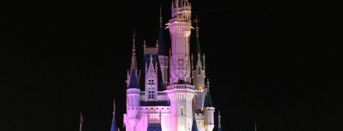 Cinderella Castle is one of Florida.