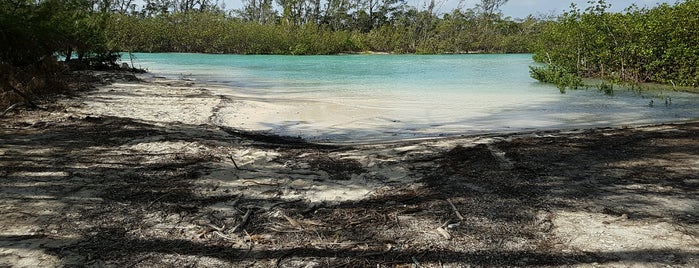 Lucayan National Park is one of Kenさんのお気に入りスポット.