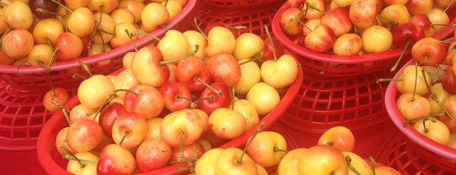 Certified Farmers' Market is one of Locais curtidos por Jamie.