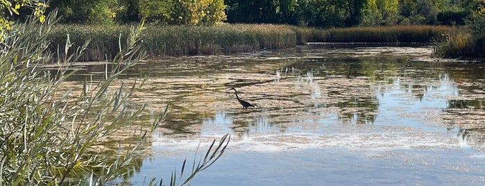 Walden Ponds Wildlife Habitat is one of Trailheads.