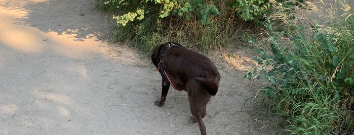 Jacob's Island Bark Park is one of Missoula, MT.