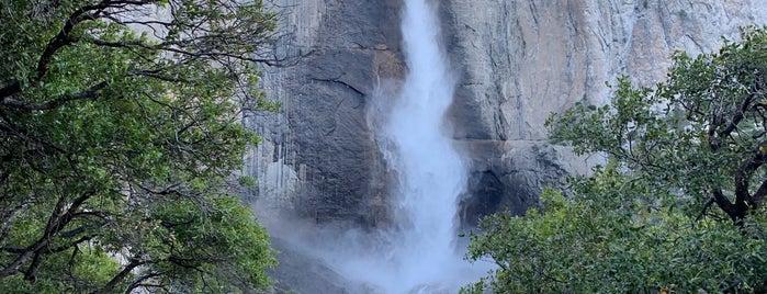 High Yosemite Falls Trail View Point is one of Locais curtidos por Kurtis.