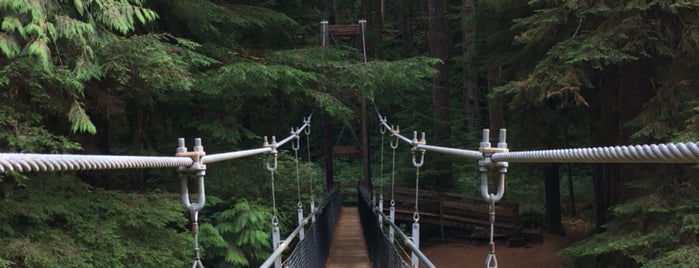 Drift Creek Falls Trail is one of Oregon.