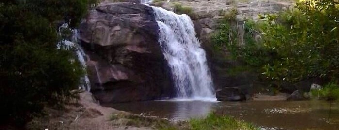 Cerro Grande do  Sul is one of Cidades do Rio Grande do Sul.