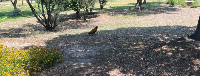 Parco di Monte Claro is one of Sardinia.