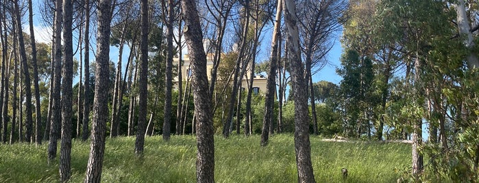 Parco Di Monte Mario is one of Lieux qui ont plu à Aydın.