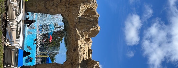 Castaway Island is one of Florida parks.