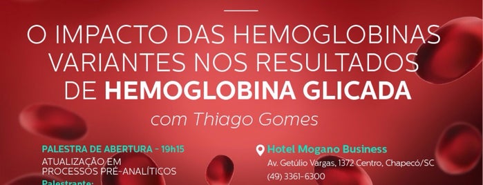 Mogano Business Hotel is one of Hotéis SC.