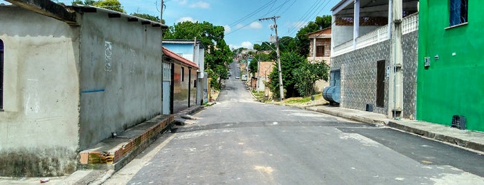Zumbi dos Palmares is one of Rotina.