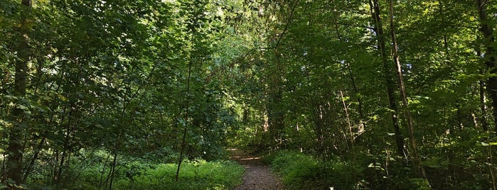 Domaine Provincial d'Hélécine is one of Belgium / Parks / Provincial Parks.