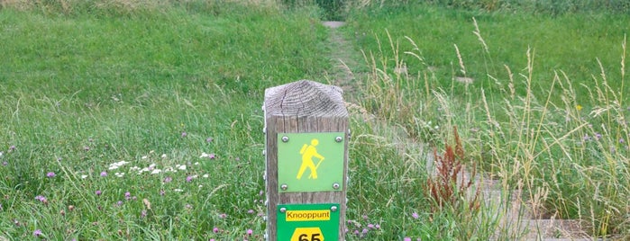 Wandelknooppunt 65 is one of Nederland.