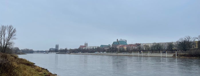 Elbe is one of Magdeburg / Deutschland.