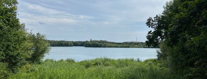 Silbersee is one of Düsseldorf Best: Sightseeing.