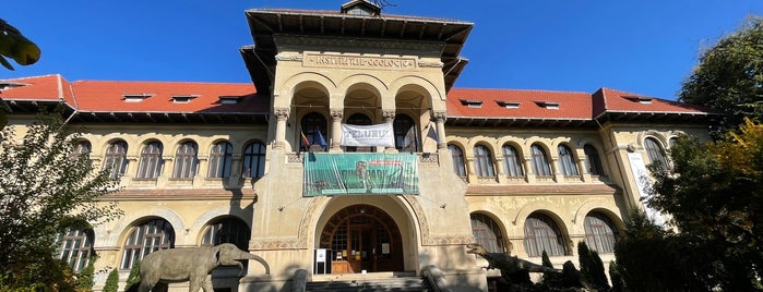 Muzeul Național de Geologie is one of Bucuresti.