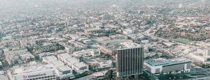 Skyslide is one of LA- non food.