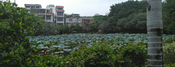 东湖公园 is one of Tempat yang Disukai Hanna.