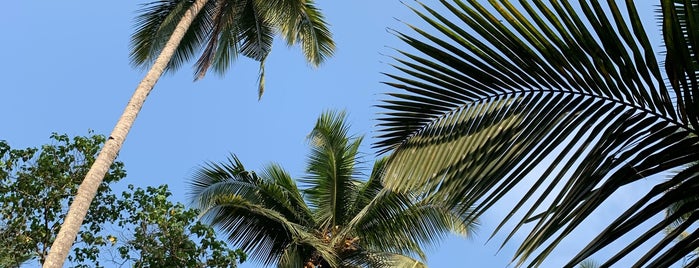 Sweet Lake Beach is one of beach bum...goa.