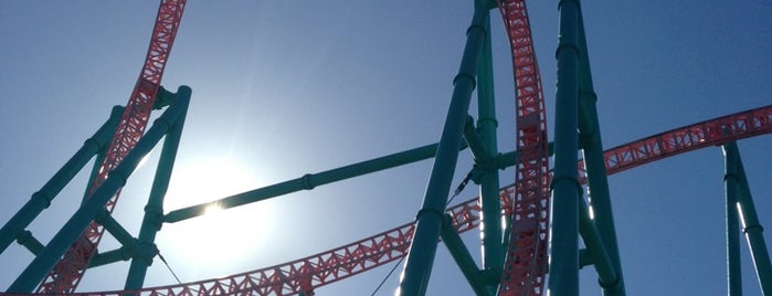 Xcelerator is one of World's Top Roller Coasters.