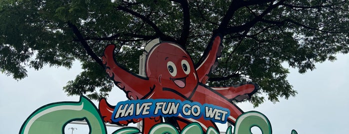 Ocean Park Water Adventure is one of mtvU Spring Break 2012 [RETIRED].