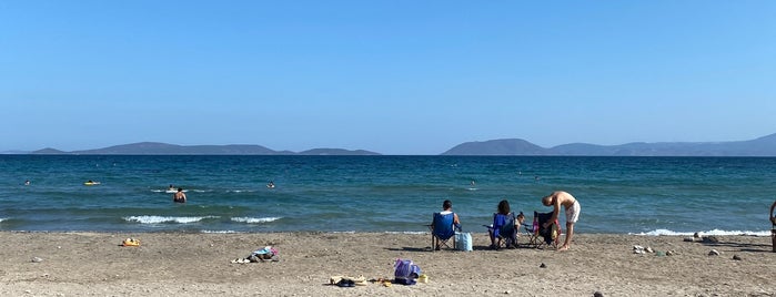 Ardıç Plajı is one of Pula.