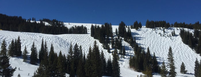 Vail Ski Resort is one of Ski Areas.