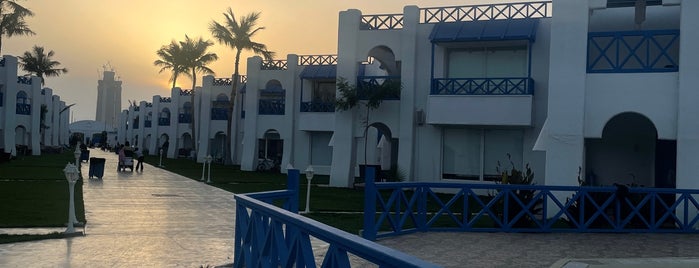 Dive Village is one of Jeddah.