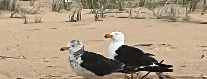 Ninety Mile Beach is one of Tourism.