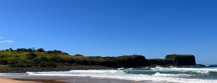Bombo Headland is one of Lugares favoritos de Darren.