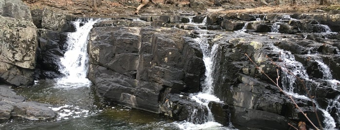 Lockatong Preserve WMA is one of BEST OF: Waterfalls.