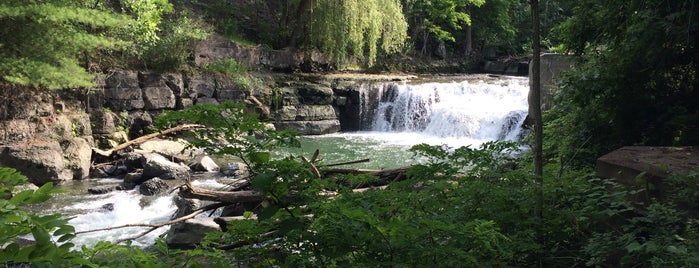 Cascade Mills is one of Finger Lakes.