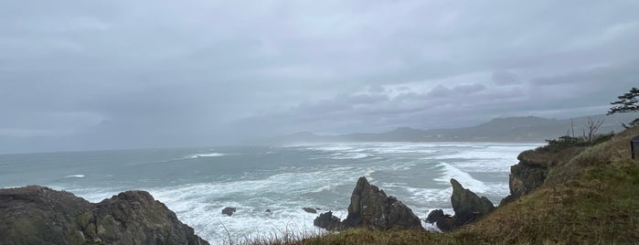 Yaquina Head Outstanding Natural Area is one of Oregon 2016.