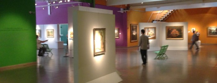 Museo Quinquela Martín is one of culturales.