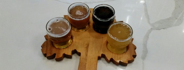 Elmhurst Brewing Company is one of Breweries I Have Visited.