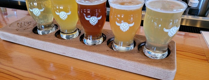 Hairy Cow Brewing is one of Chicago area breweries.