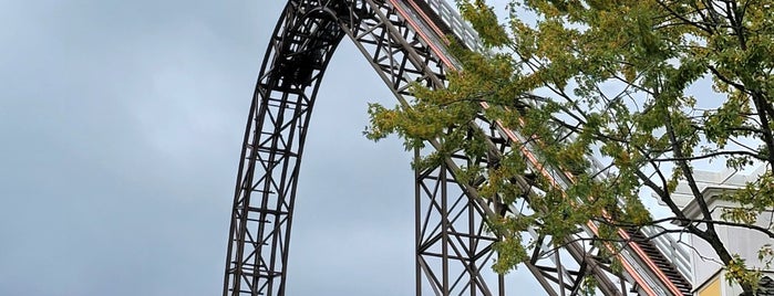 Goliath is one of Coasters.