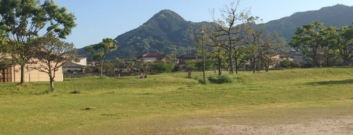 野方中央公園 is one of 公園.