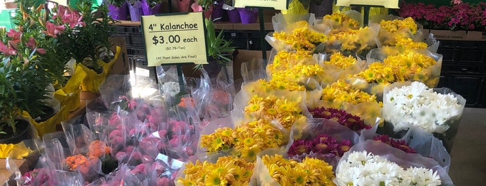 Produce Junction is one of The 15 Best Places for Flowers in Philadelphia.