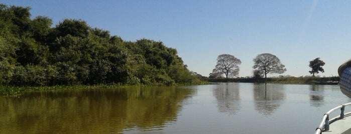 Pantanal is one of 27 lugares pra ir.