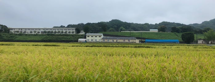 福岡農業高等学校 is one of サッカー試合可能な学校グラウンド.