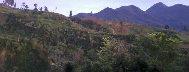 Pondok Pemuda Cibodas is one of Outdoor/Sight.