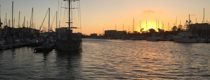 Marina Del Rey Water Bus is one of On The Water.