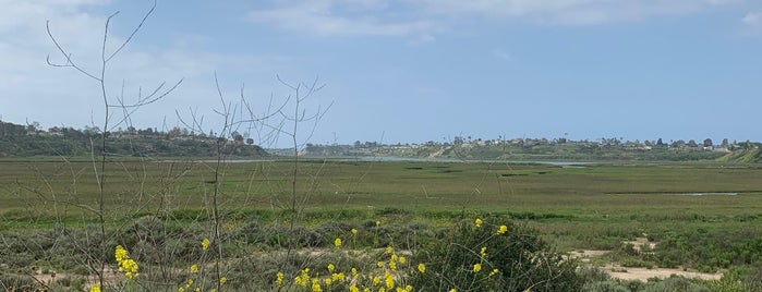 Upper Newport Bay Nature Preserve is one of Thibault’s Liked Places.