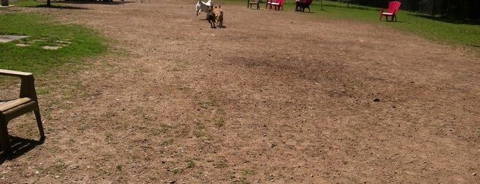 Officer Lucy Bark Park is one of Houston Dogs.