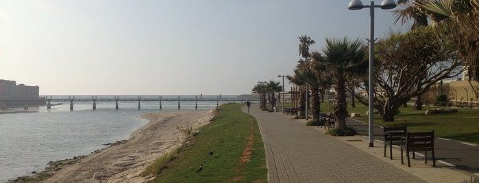 Reeding Promenade / טיילת רידינג is one of תל אביב 🇮🇱.