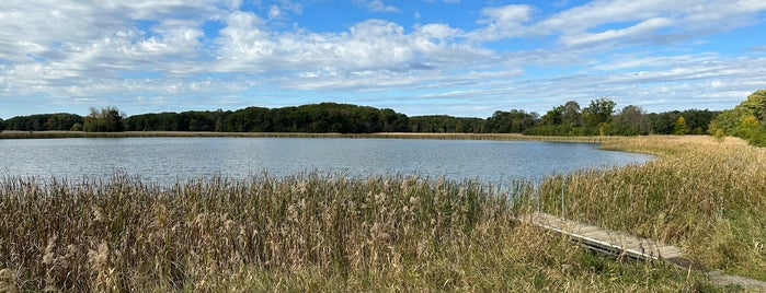 Lake Maria State Park is one of Hikes of 3+.
