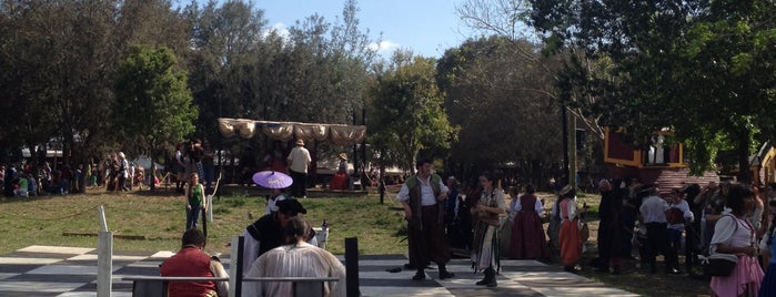 Bay Area Renaissance Festival is one of Locais curtidos por Dave.