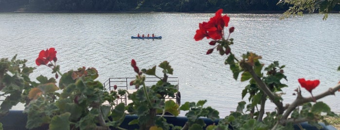 Öreg Kőrössy Halászcsárda is one of Szeged.