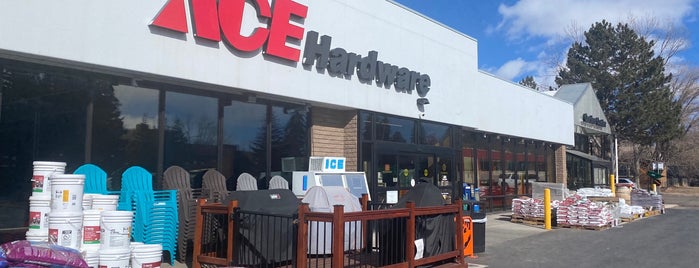 Ace Hardware & Paint is one of Badge earned.