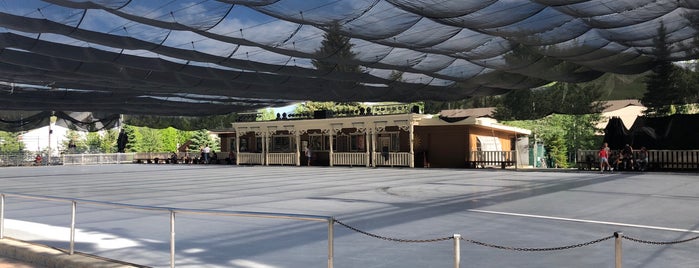 Sun Valley Hockey Rink is one of A few of our favorite places!.